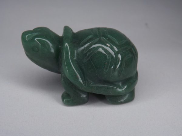 Tortue-aventurine-verte-2