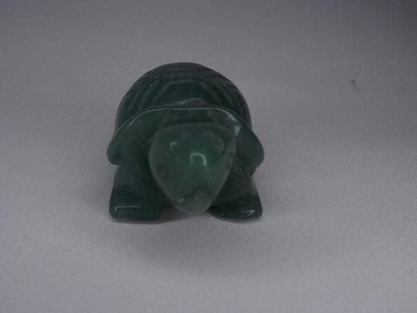 Tortue-aventurine-verte-3