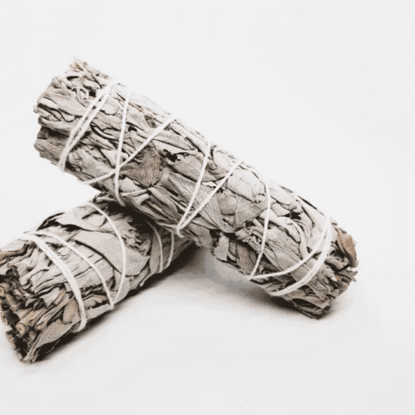 Bâton de sauge blanche