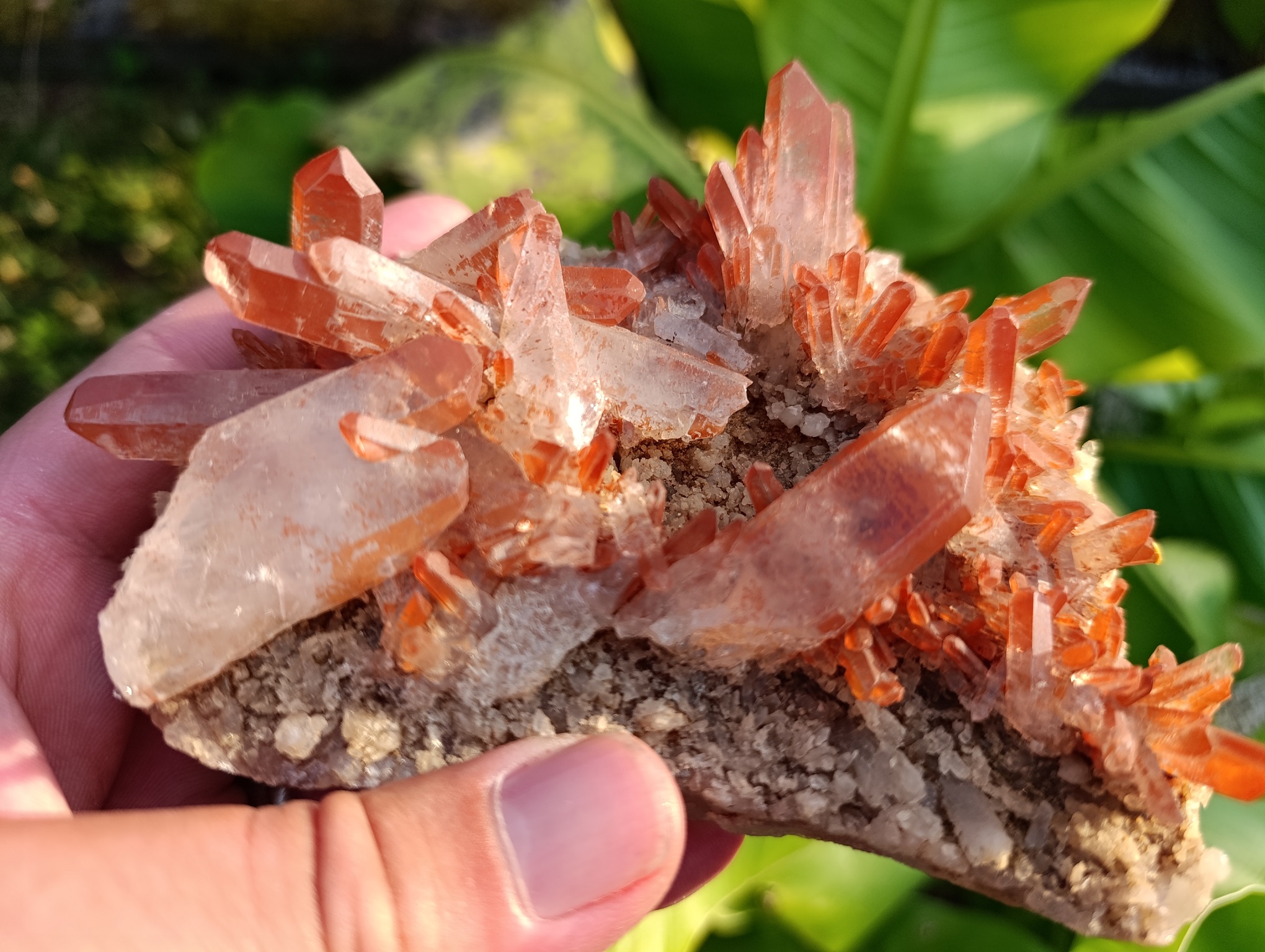 Druse Quartz mandarine qualité A Brésil