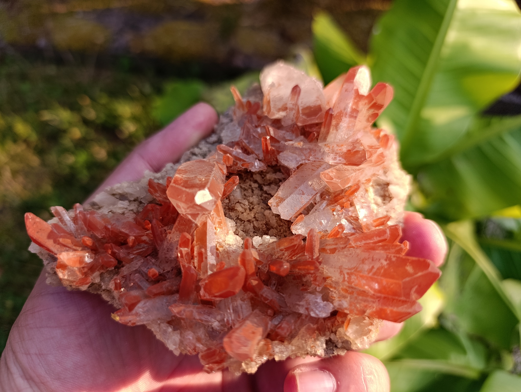 Druse Quartz mandarine qualité A Brésil