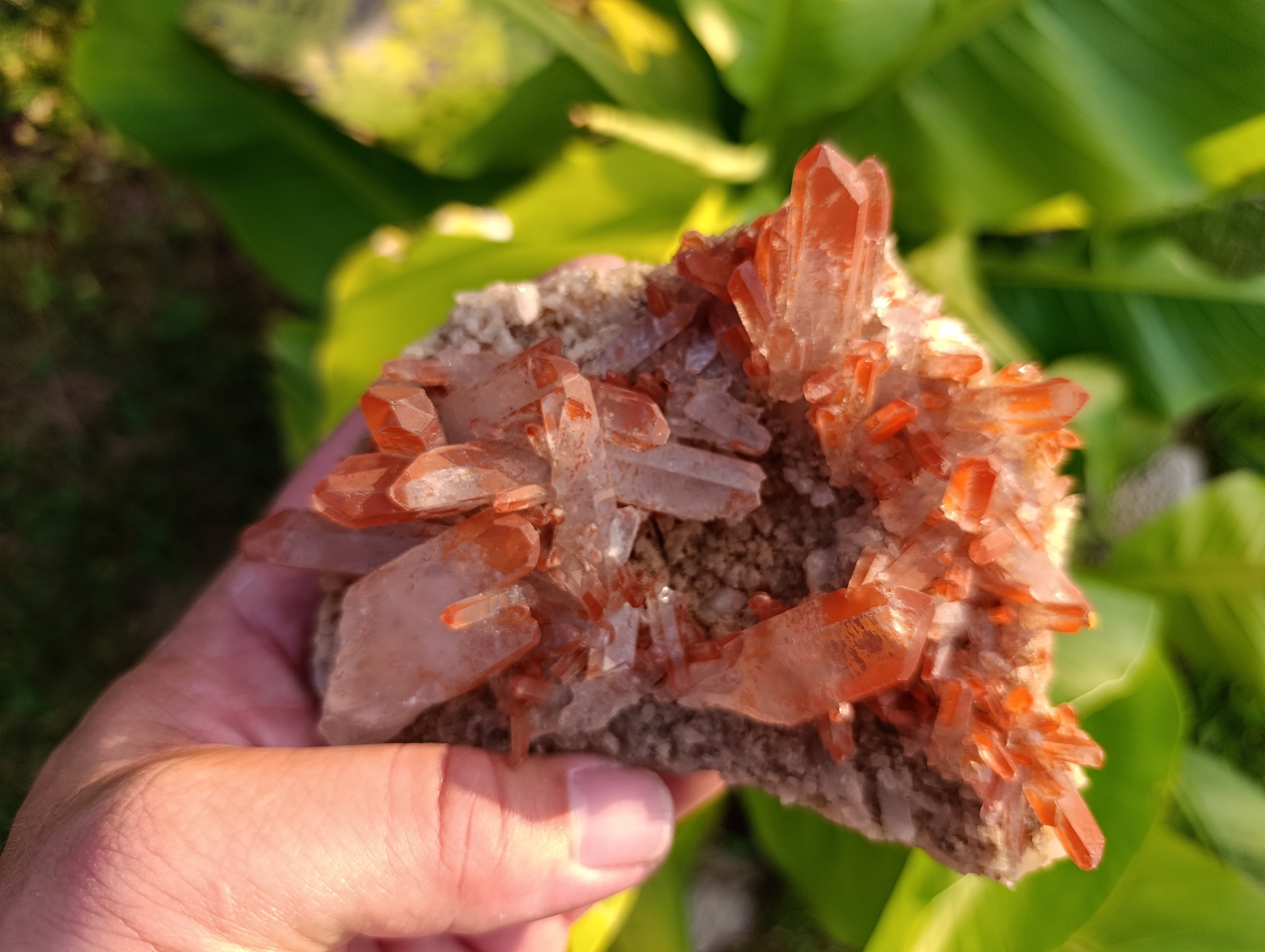 Druse Quartz mandarine qualité A Brésil