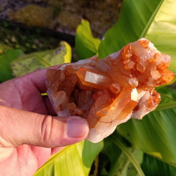 Pierre brute Druse en Quartz Mandarine – 617 gr- Qualité A