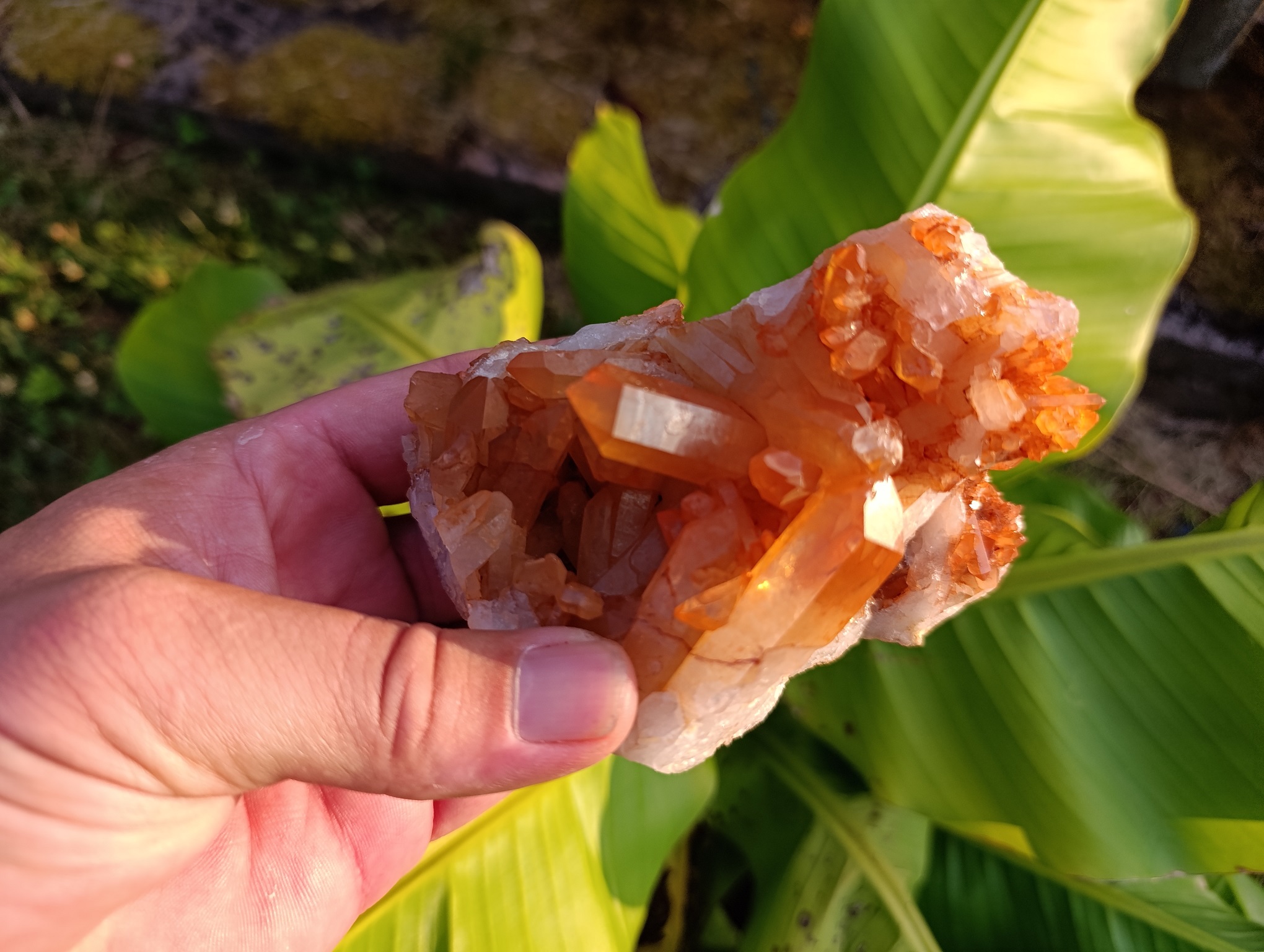 Druse Quartz mandarine qualité A Brésil