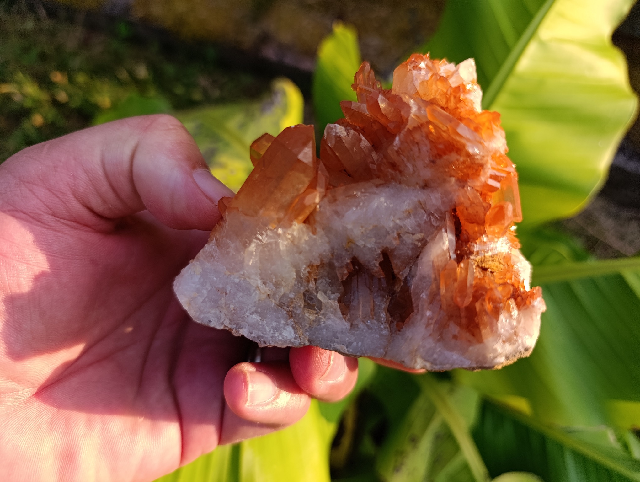Druse Quartz mandarine qualité A Brésil