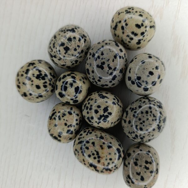 Pierre Jaspe Dalmatien – Taille 2-3cm A