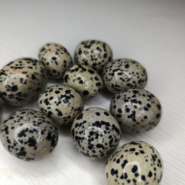 Pierre Jaspe Dalmatien – Taille 2-3cm A