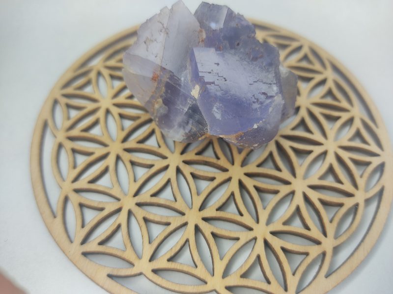 fleur de vie en bois peuplier 10cm