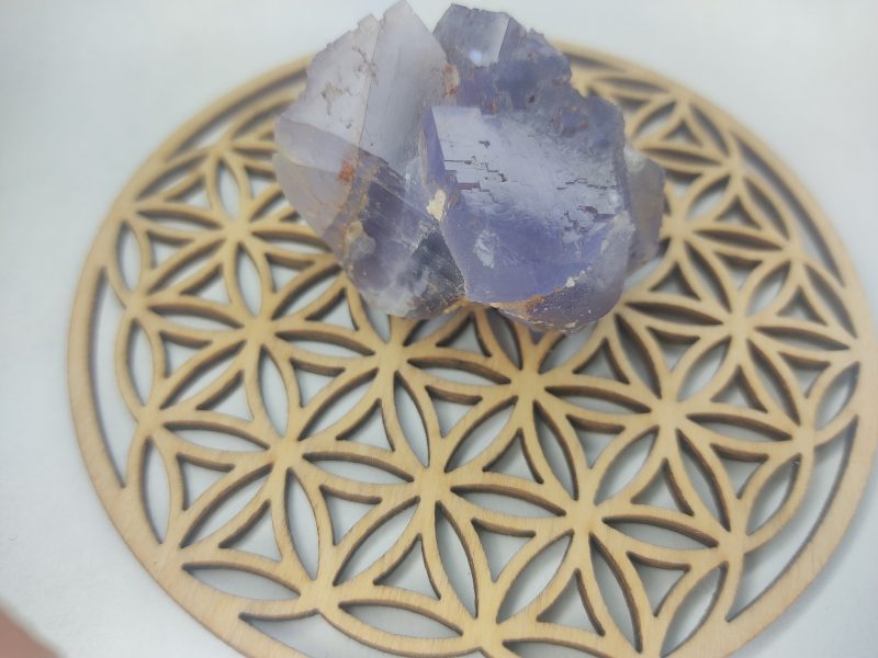 fleur de vie en bois peuplier 10cm