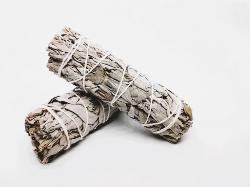 sauge blanche Californie salvia apiana